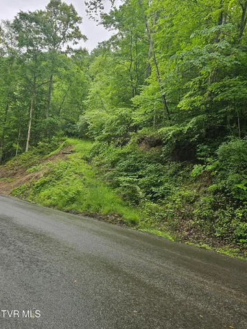 $24,000 | 1068 Lesters Fork Road, Grundy, VA 24614