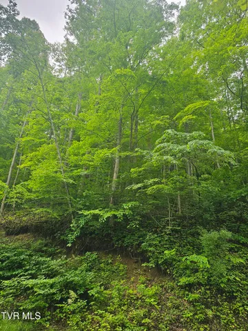 $24,000 | 1068 Lesters Fork Road, Grundy, VA 24614