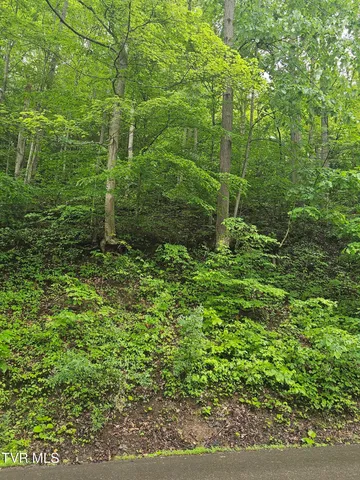 $24,000 | 1068 Lesters Fork Road, Grundy, VA 24614