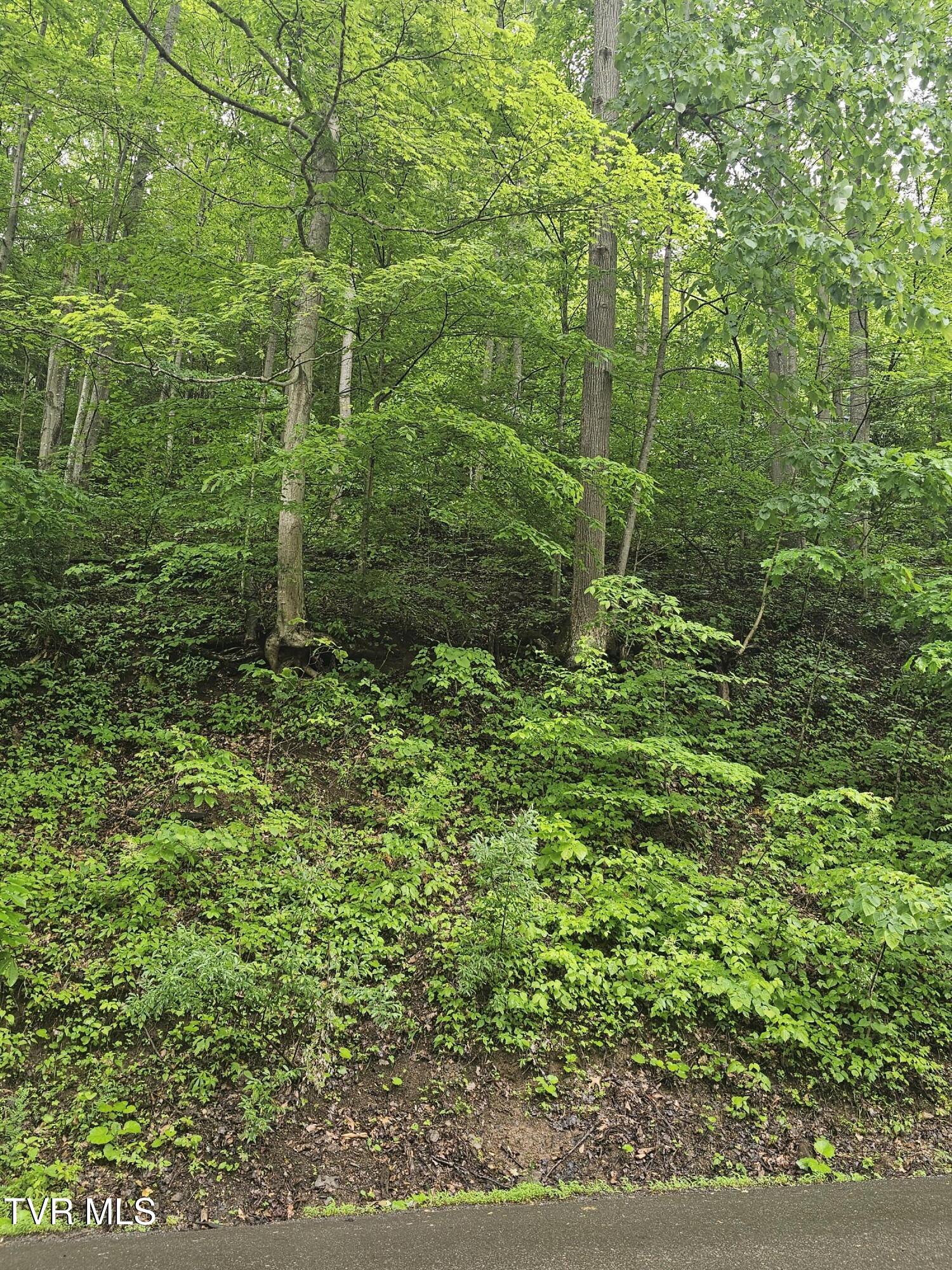 1068 Lesters Fork Road Grundy, VA 24614 - Photo 3 of 11 20250527_150654