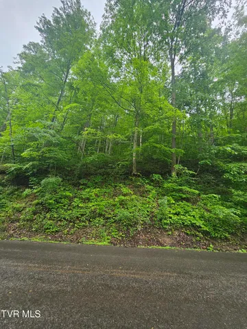 $24,000 | 1068 Lesters Fork Road, Grundy, VA 24614
