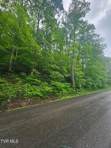 $24,000 | 1068 Lesters Fork Road, Grundy, VA 24614