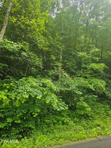 $24,000 | 1068 Lesters Fork Road, Grundy, VA 24614