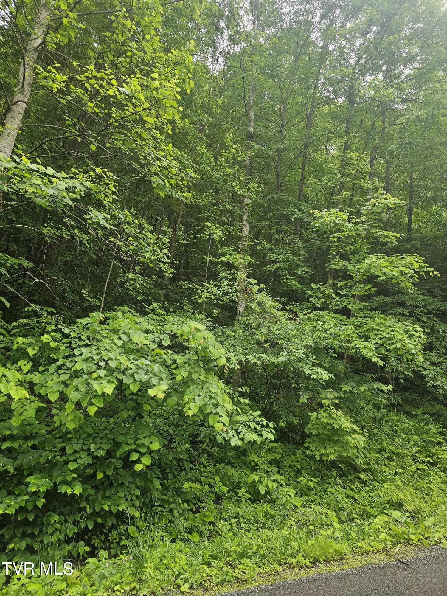 1068 Lesters Fork Road Grundy, VA 24614 - Photo 6 of 11 20250527_162212