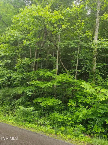 $24,000 | 1068 Lesters Fork Road, Grundy, VA 24614