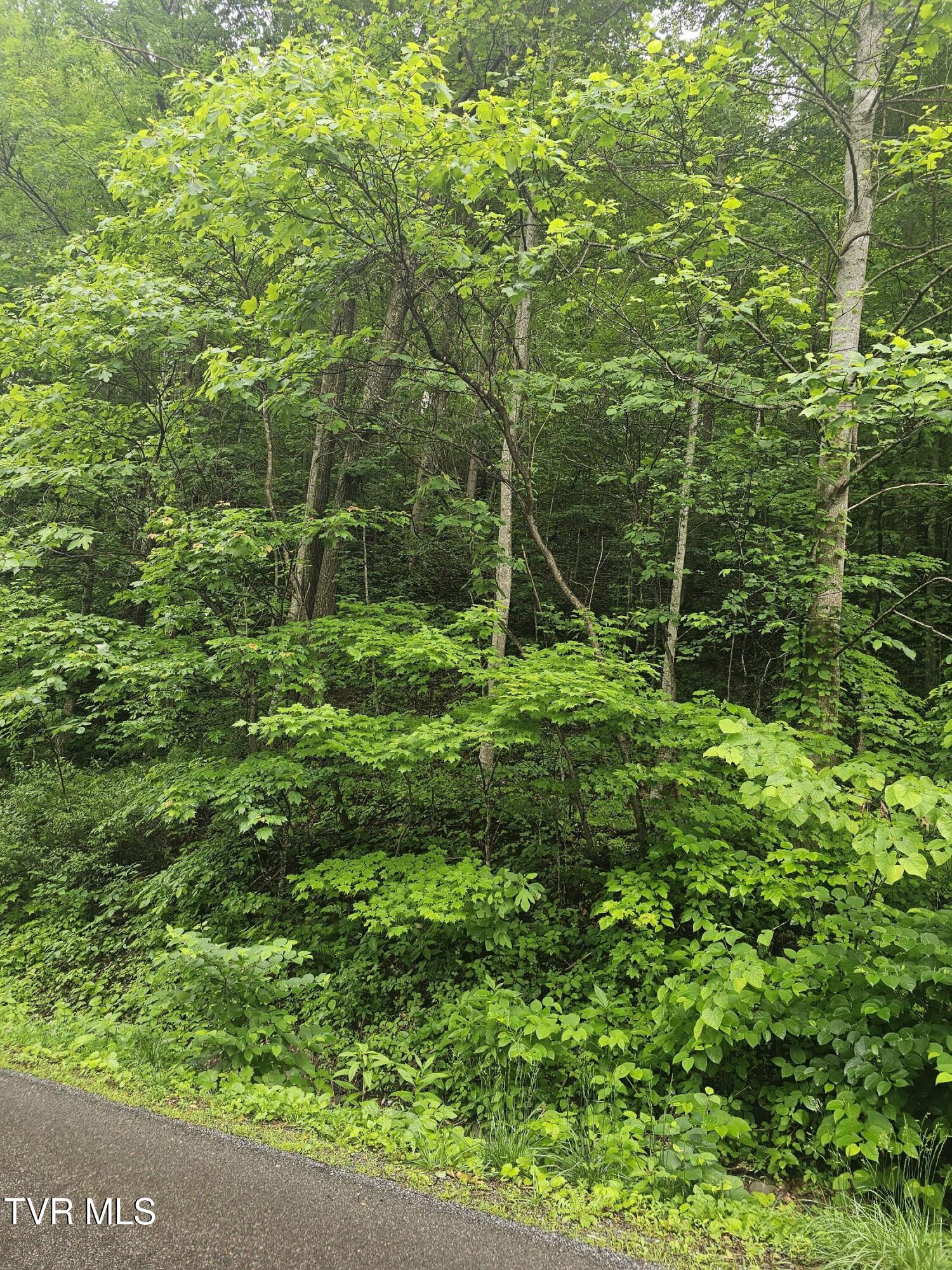 1068 Lesters Fork Road Grundy, VA 24614 - Photo 7 of 11 20250527_162215