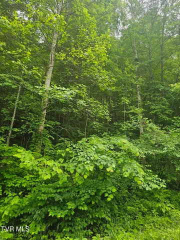 $24,000 | 1068 Lesters Fork Road, Grundy, VA 24614