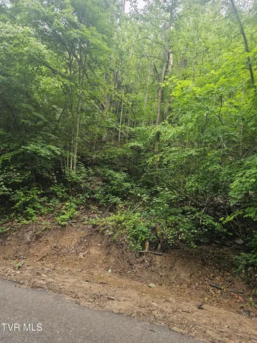 $24,000 | 1068 Lesters Fork Road, Grundy, VA 24614