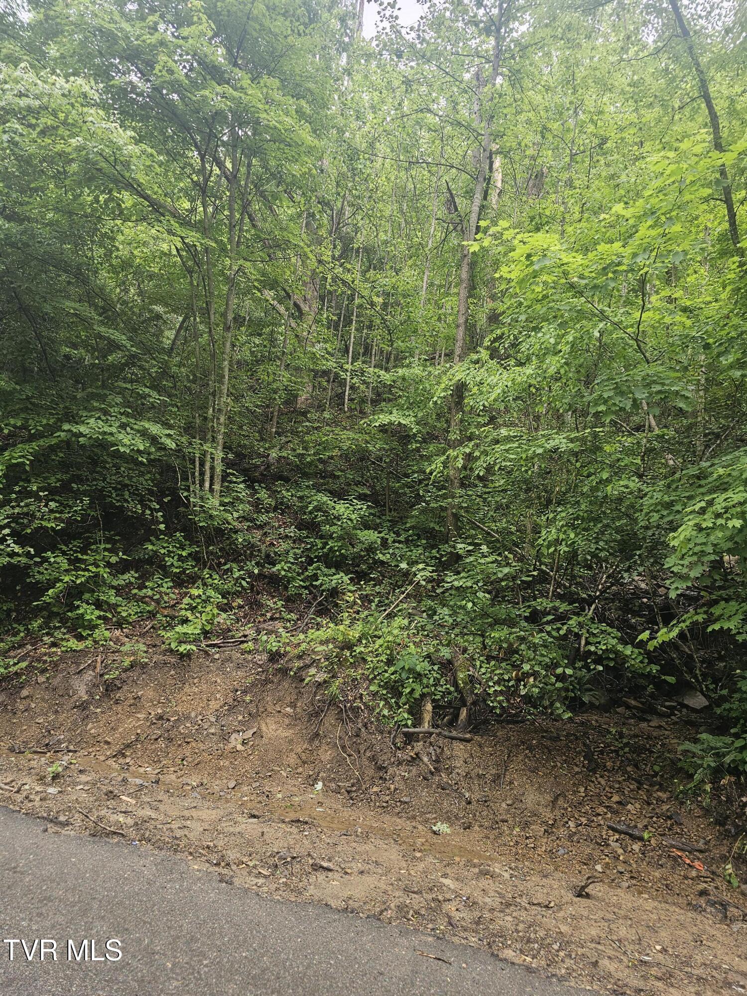 1068 Lesters Fork Road Grundy, VA 24614 - Photo 9 of 11 20250527_162335