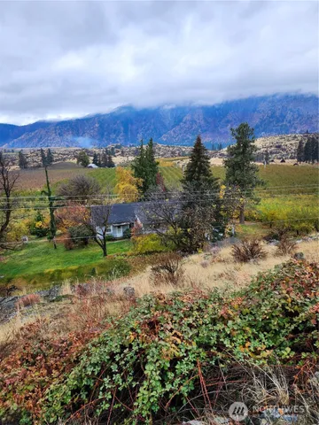 a view of a bunch of trees in a field