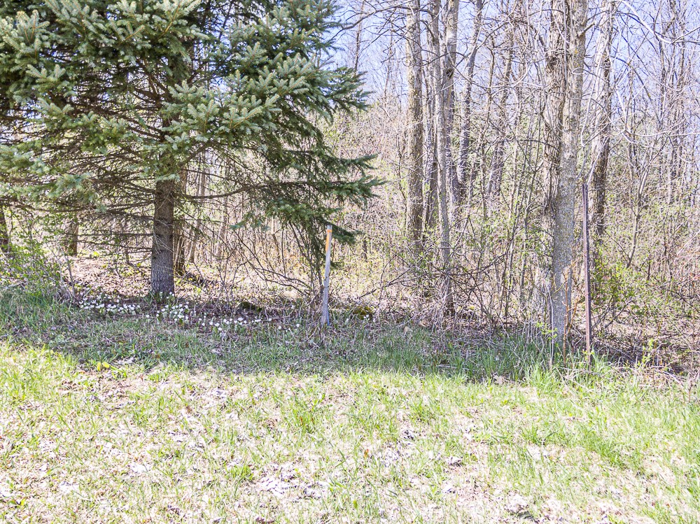 Sleepy Hollow Road Kewaunee, WI 54216 - Photo 10 of 23