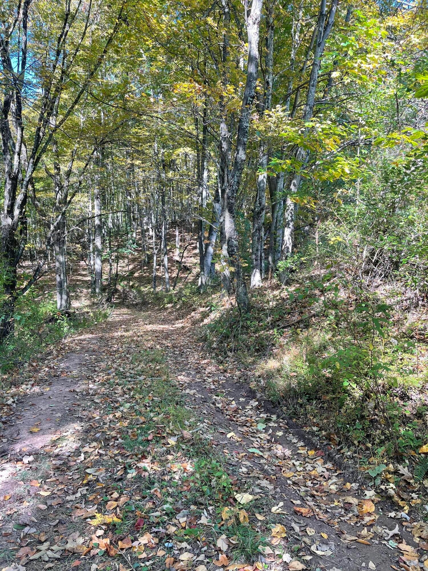 Cornstalk Road Crawley, WV 24931 - Photo 2 of 14 Gallery Image 2