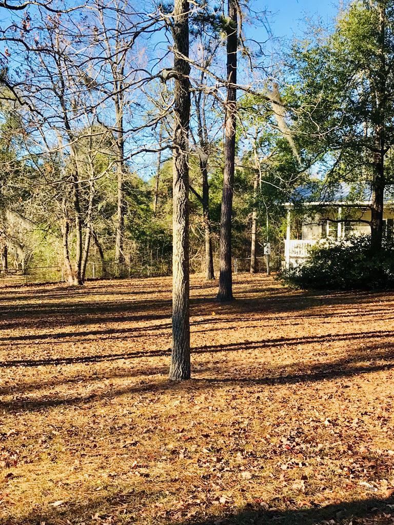207 Daniel Street Jackson, SC 29831 - Photo 10 of 14