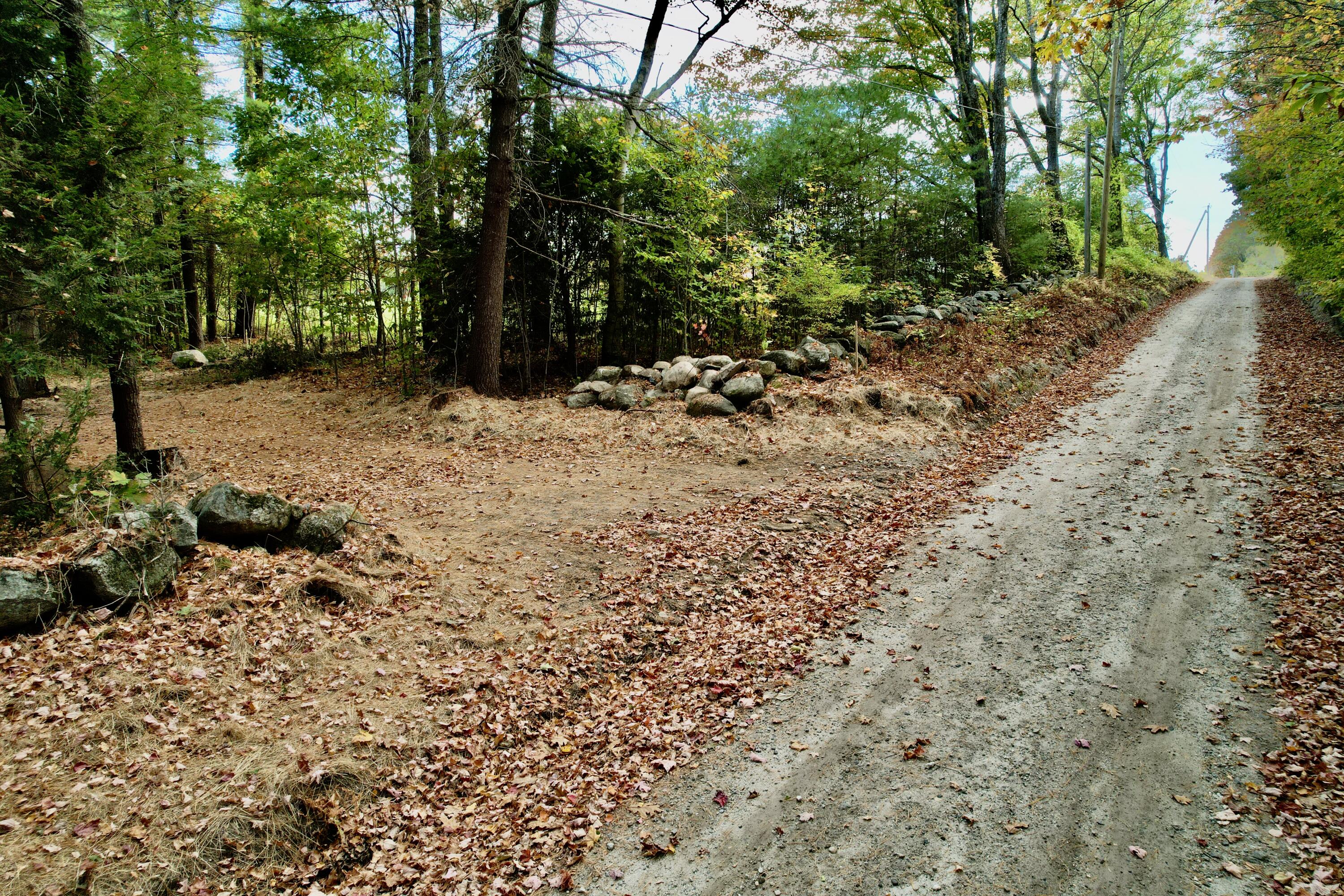 Lot 13 Staples Road Waterford, ME 04088 - Photo 5 of 10 NW corner 2