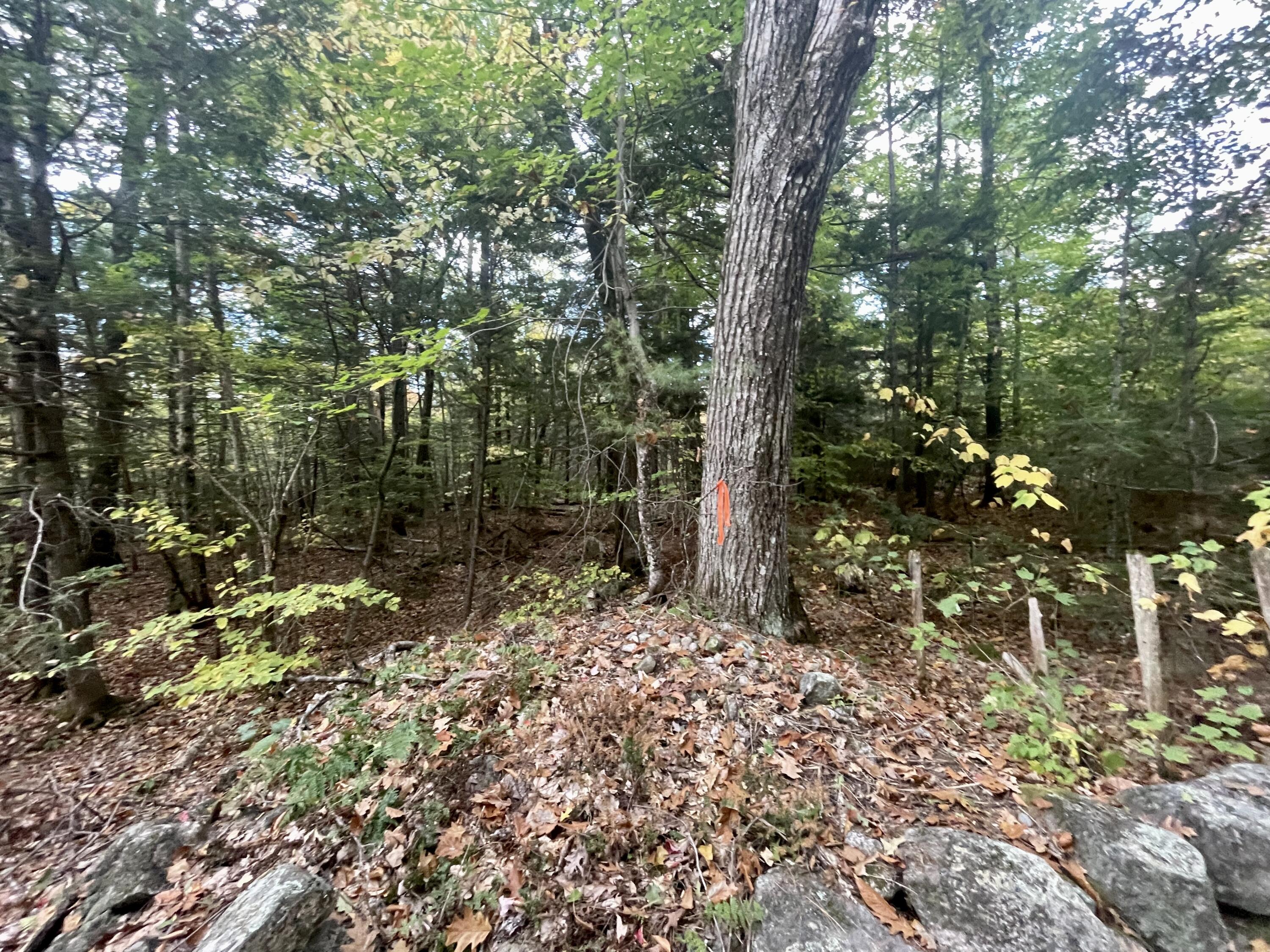 Lot 13 Staples Road Waterford, ME 04088 - Photo 6 of 7 NE stonewall corner