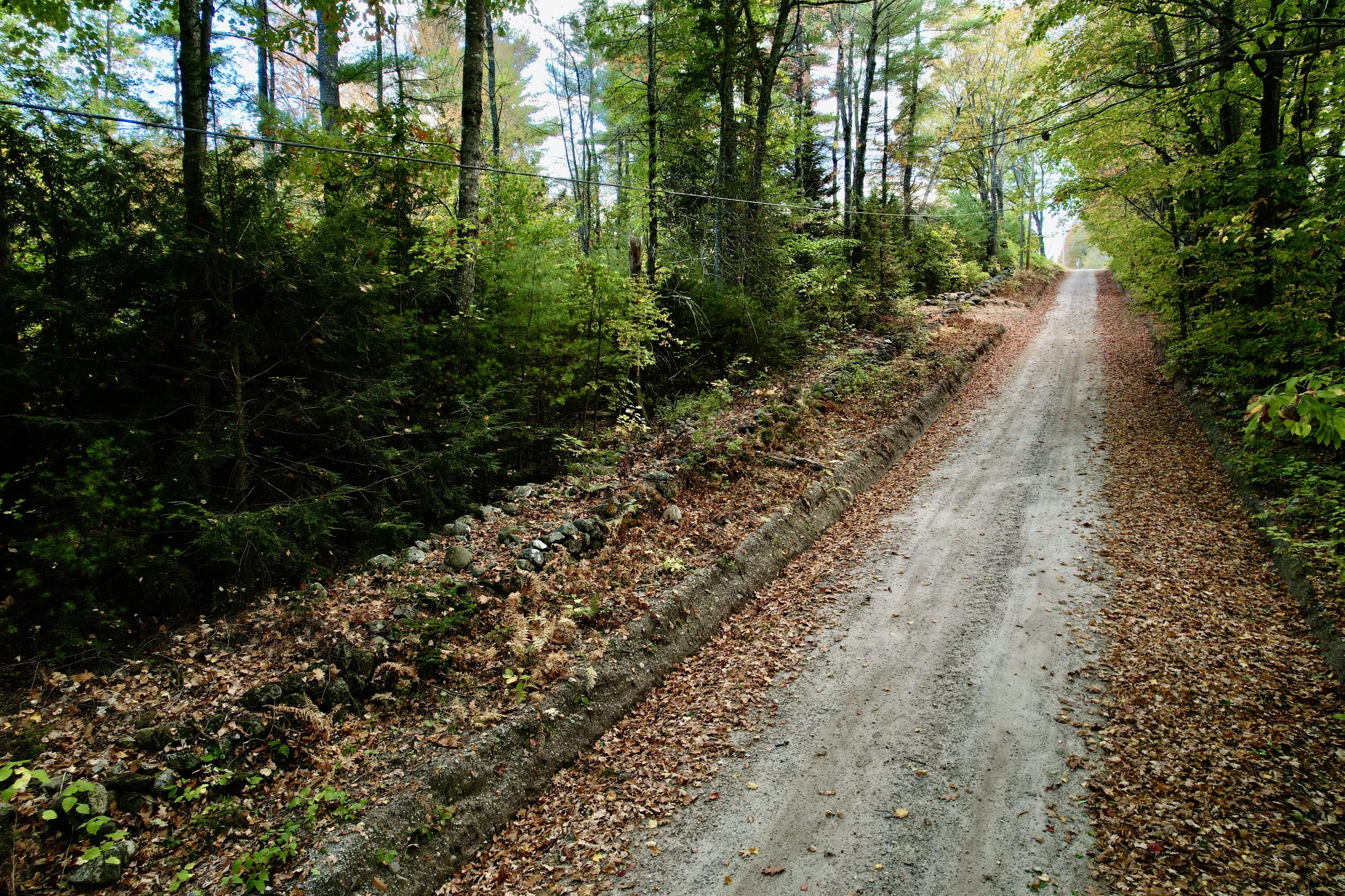 Lot 13 Staples Road Waterford, ME 04088 - Photo 6 of 10 Staples Rd looking W