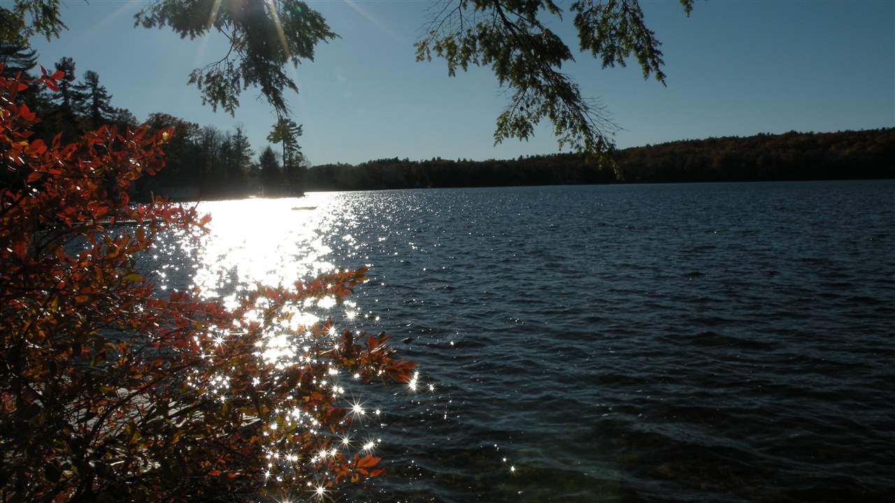 455 East Lake Road Fitzwilliam, NH 03447 - Photo 8 of 40