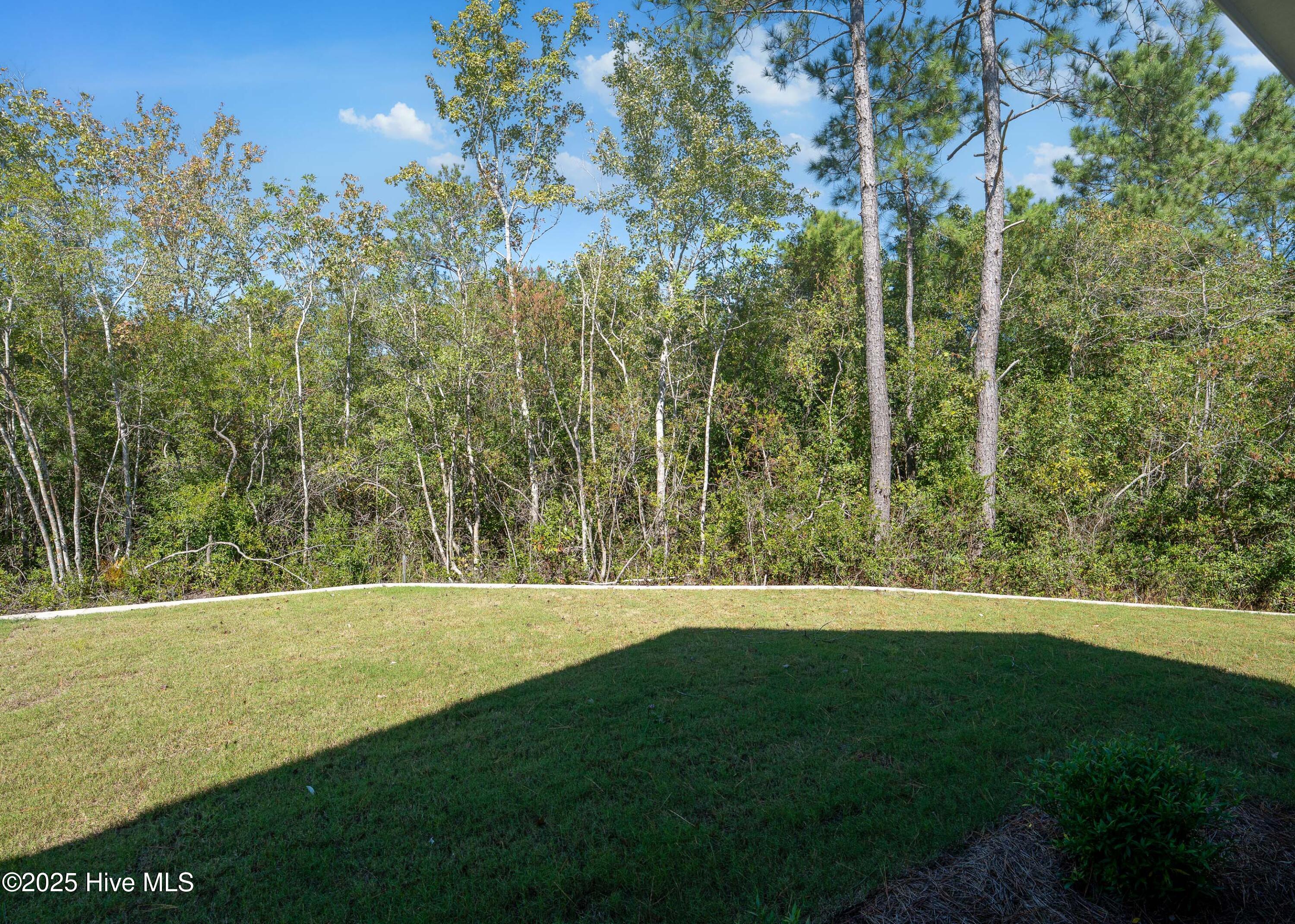 39 Streambed Way Hampstead, NC 28443 - Photo 34 of 36 Backyard