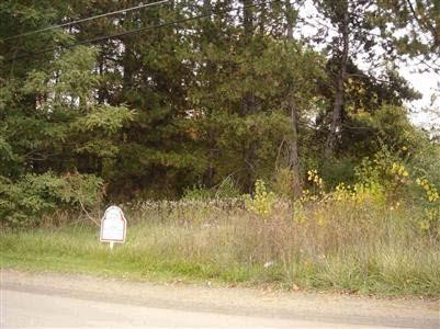 2256 North Nichols Road Flushing, MI 48433 - Photo 1 of 1 20302342.JPG