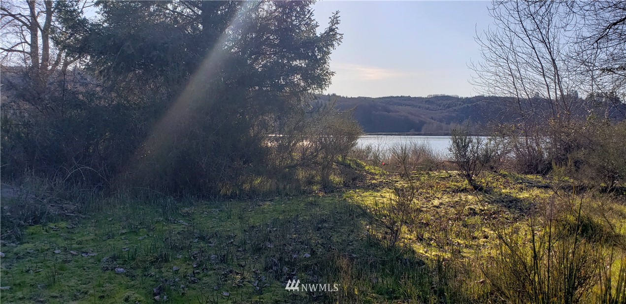 177 Ostervold Road Cathlamet, WA 98612 - Photo 11 of 16 Gallery Image 11