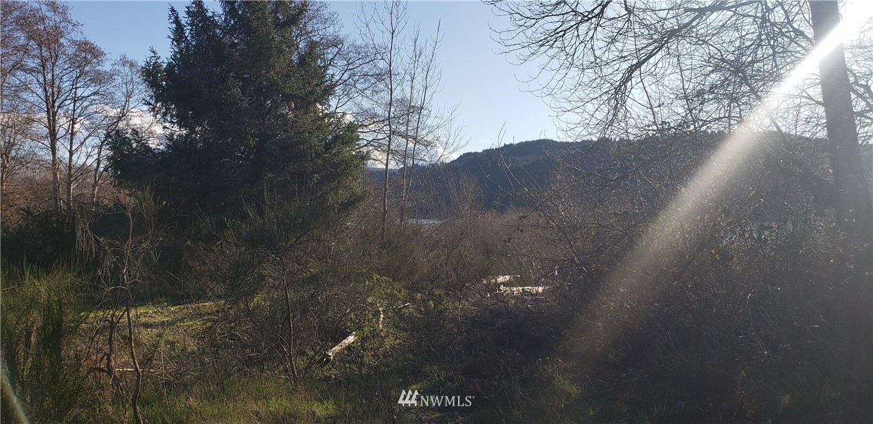 177 Ostervold Road Cathlamet, WA 98612 - Photo 15 of 16 Gallery Image 15