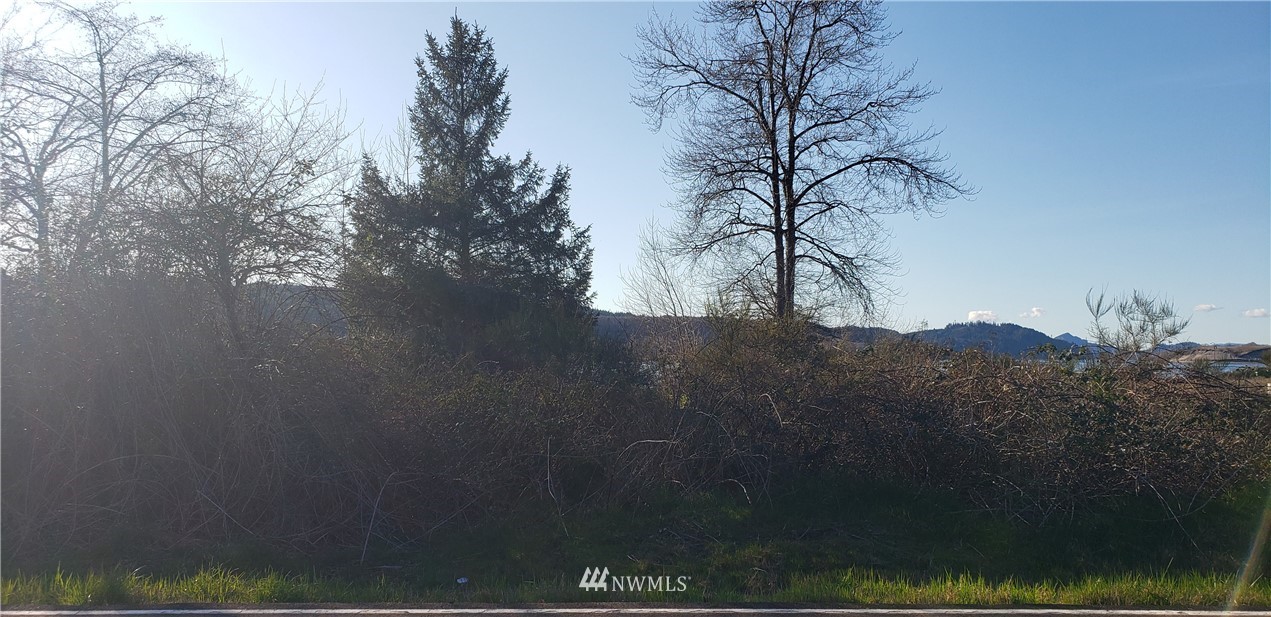 177 Ostervold Road Cathlamet, WA 98612 - Photo 10 of 16 Gallery Image 10