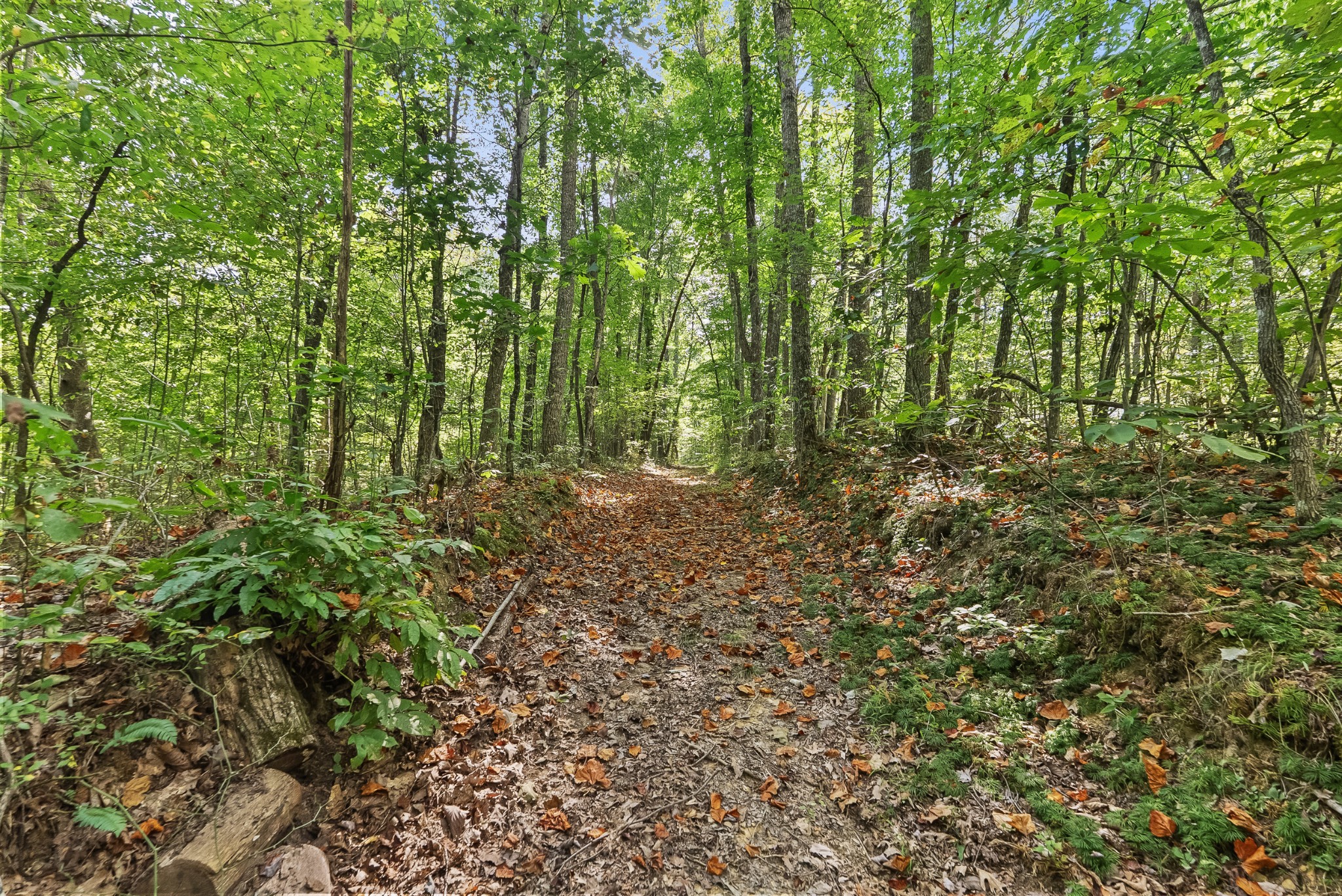 625 Meadows Road Sparta, TN 38583 - Photo 35 of 87 Gallery Image 35