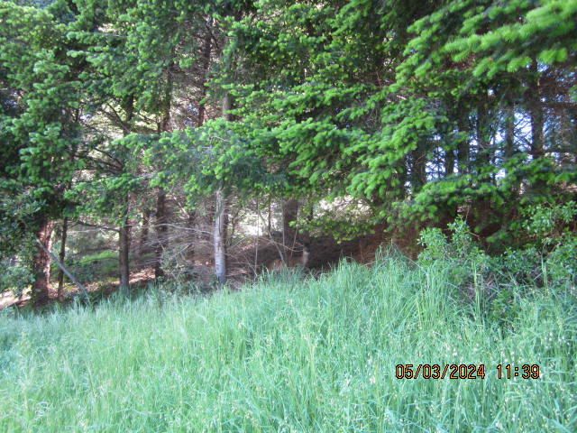 232 Nob Hill Road Shelter Cove, CA 95589 - Photo 15 of 20