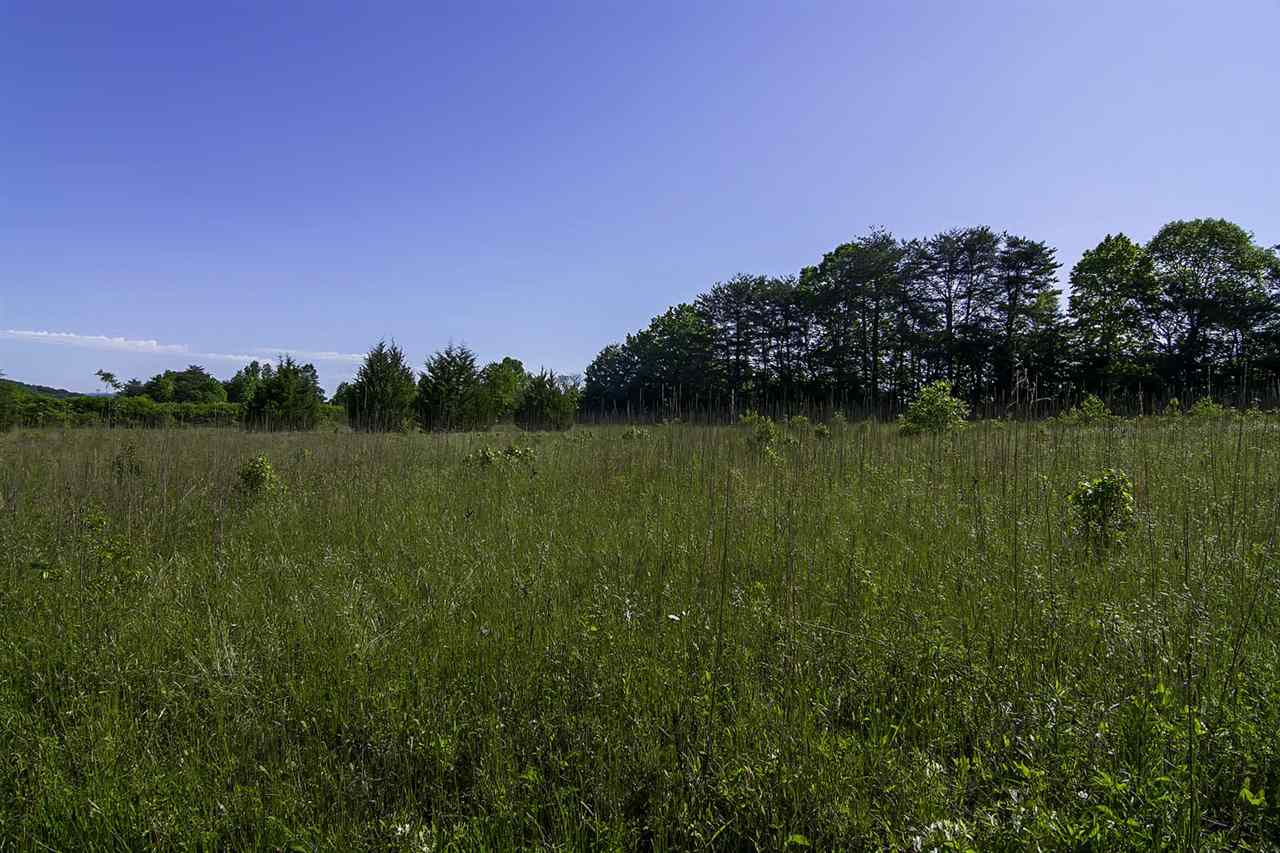 0 North Campbell Road Landrum, SC 29356 - Photo 8 of 22