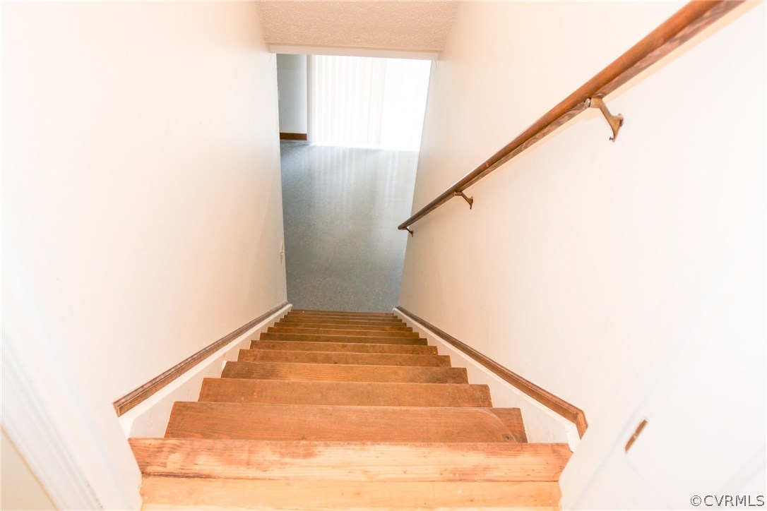 8241 Cattail Road Chesterfield, VA 23838 - Photo 42 of 50