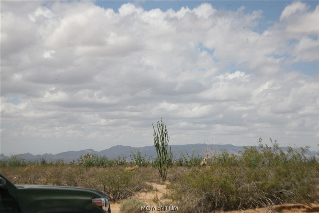 016 South Gene Autry Road Yucca, AZ 86438 - Photo 14 of 38 Gallery Image 14