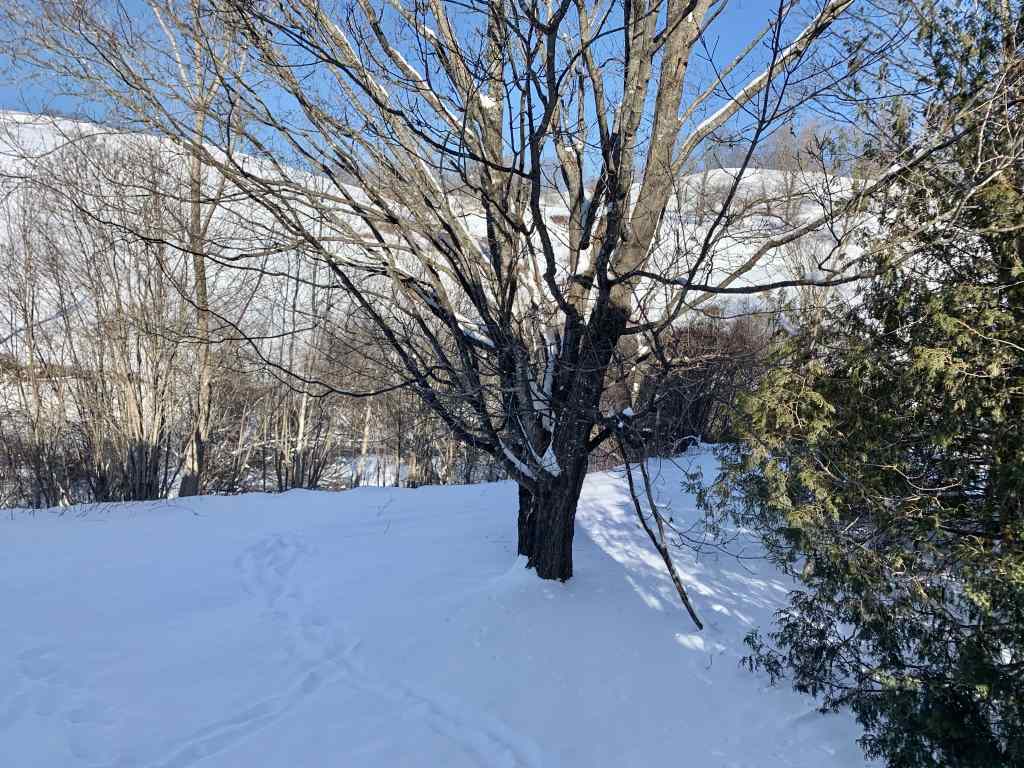 86 Hewitt Hill Road Pomfret, VT 05053 - Photo 19 of 19