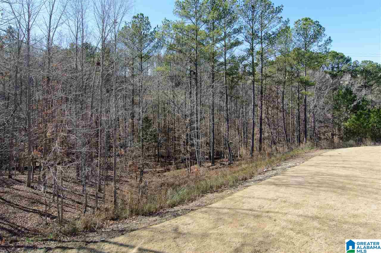 4525 Vestlake Ridge Way Birmingham, AL 35242 - Photo 47 of 48