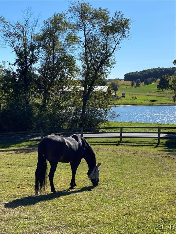 4518 Loch Valley Road New Tripoli, PA 18066 - Photo 50 of 50 Tall, dark, and handsome