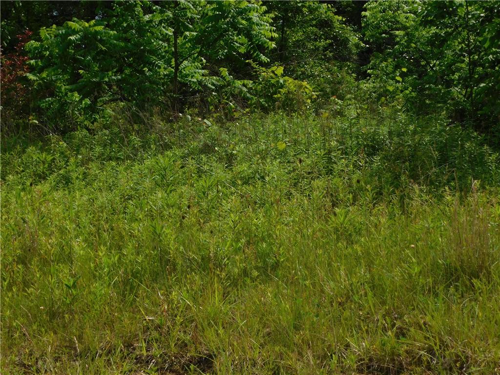 329 McClellandtown Road Uniontown, PA 15401 - Photo 9 of 11