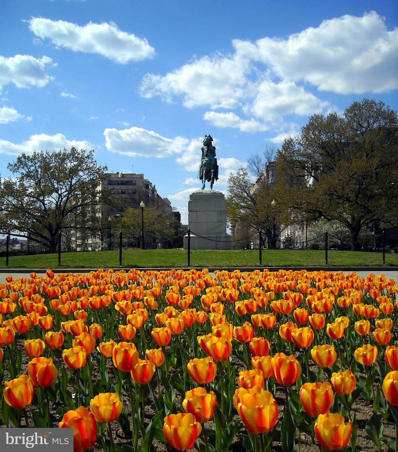 2517 I Street Northwest Washington, DC 20037 - Photo 33 of 37 Community