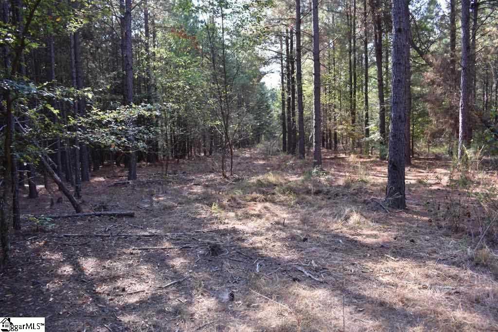 545 Bramlett Road, Unit LOT 1 Laurens, SC 29360 - Photo 2 of 33 Gallery Image 2