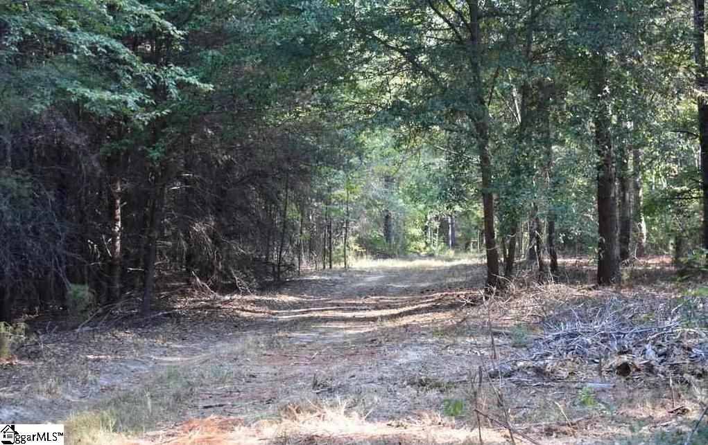 545 Bramlett Road, Unit LOT 1 Laurens, SC 29360 - Photo 12 of 33 Gallery Image 12
