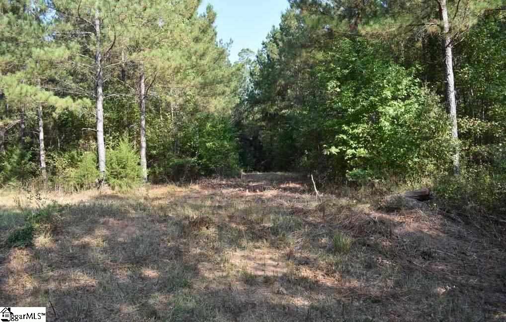 545 Bramlett Road, Unit LOT 1 Laurens, SC 29360 - Photo 15 of 33 Gallery Image 15