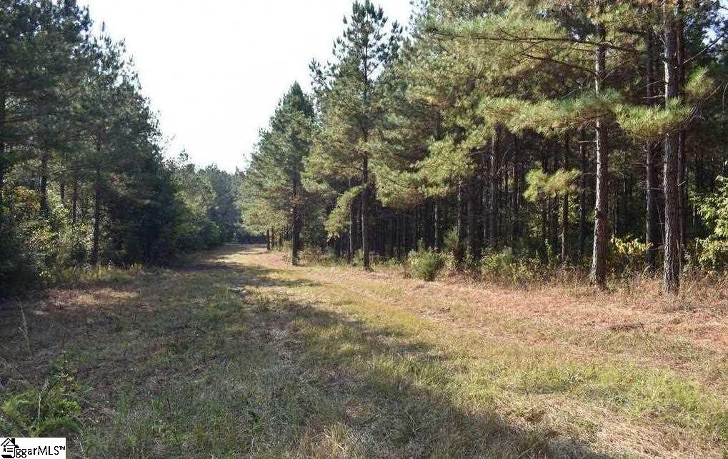 545 Bramlett Road, Unit LOT 1 Laurens, SC 29360 - Photo 16 of 33 Gallery Image 16