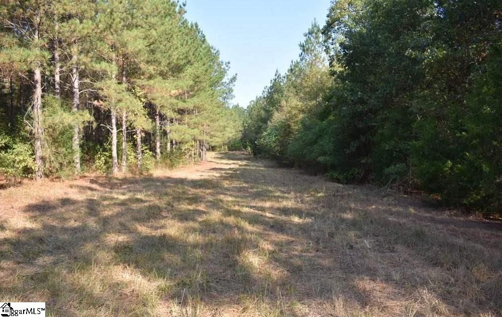 545 Bramlett Road, Unit LOT 1 Laurens, SC 29360 - Photo 17 of 33 Gallery Image 17