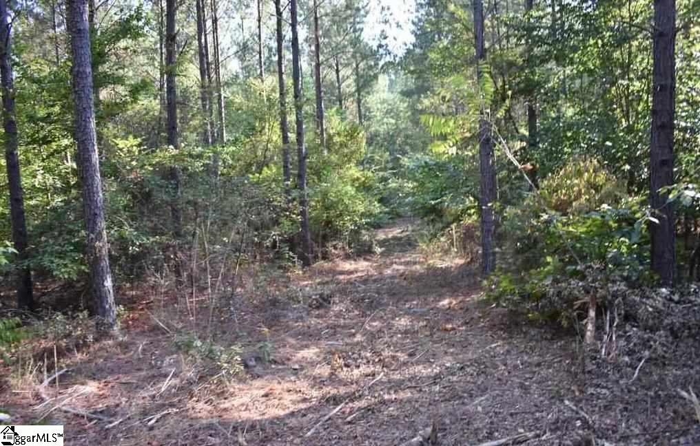 545 Bramlett Road, Unit LOT 1 Laurens, SC 29360 - Photo 19 of 33 Gallery Image 19
