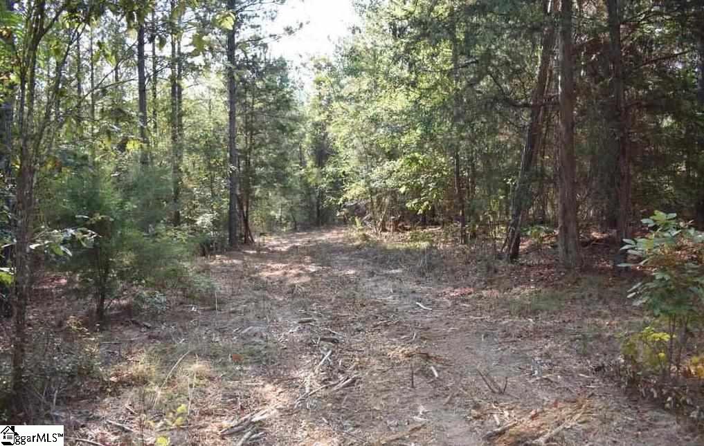 545 Bramlett Road, Unit LOT 1 Laurens, SC 29360 - Photo 20 of 33 Gallery Image 20