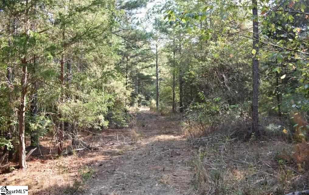 545 Bramlett Road, Unit LOT 1 Laurens, SC 29360 - Photo 21 of 33 Gallery Image 21
