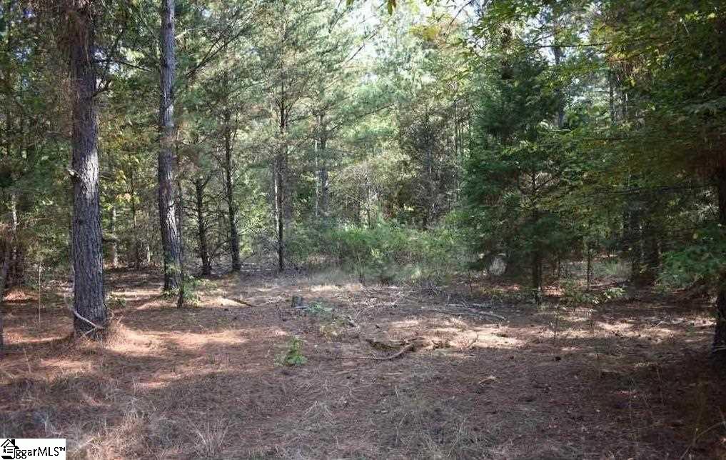 545 Bramlett Road, Unit LOT 1 Laurens, SC 29360 - Photo 23 of 33 Gallery Image 23