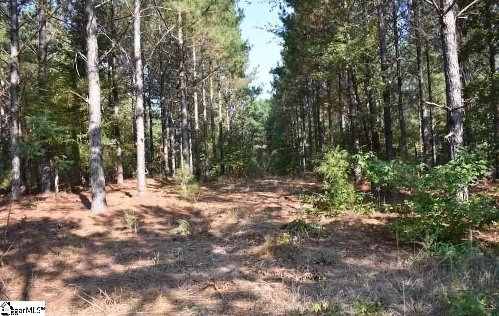 545 Bramlett Road, Unit LOT 1 Laurens, SC 29360 - Photo 24 of 33 Gallery Image 24