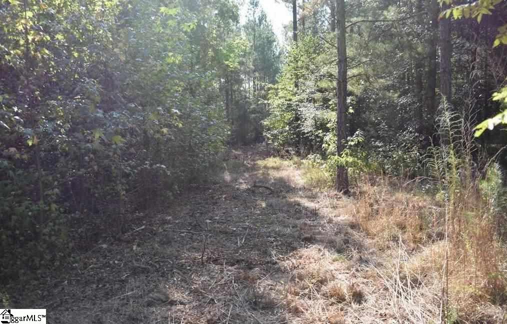 545 Bramlett Road, Unit LOT 1 Laurens, SC 29360 - Photo 25 of 33 Gallery Image 25
