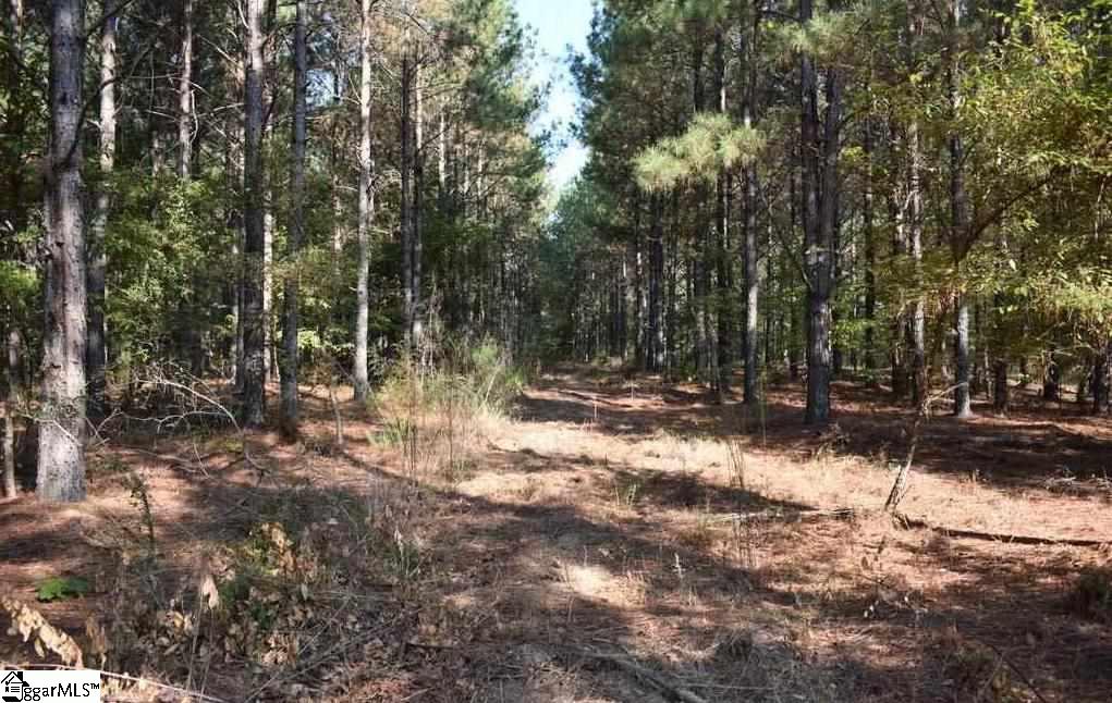 545 Bramlett Road, Unit LOT 1 Laurens, SC 29360 - Photo 26 of 33 Gallery Image 26