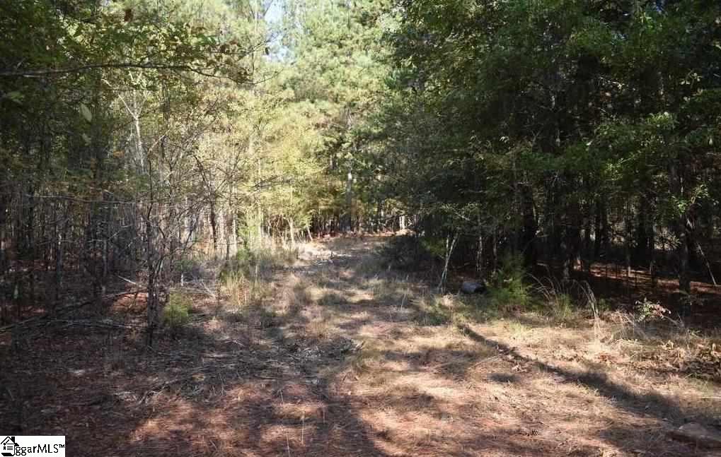 545 Bramlett Road, Unit LOT 1 Laurens, SC 29360 - Photo 27 of 33 Gallery Image 27