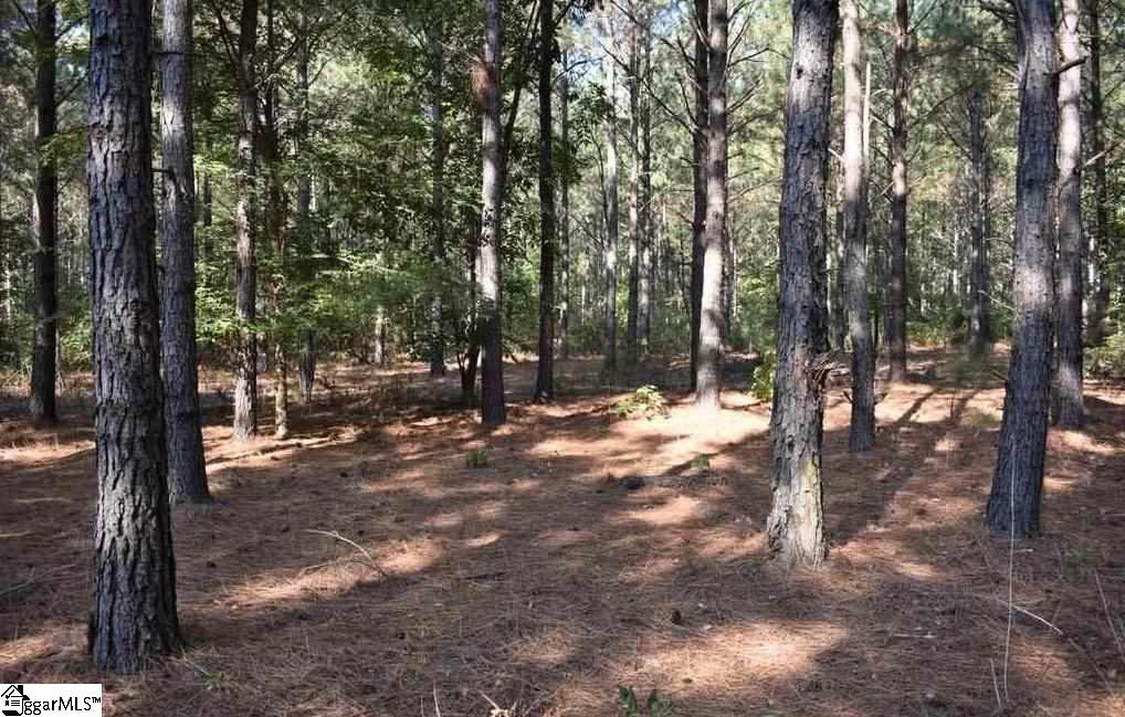 545 Bramlett Road, Unit LOT 1 Laurens, SC 29360 - Photo 28 of 33 Gallery Image 28